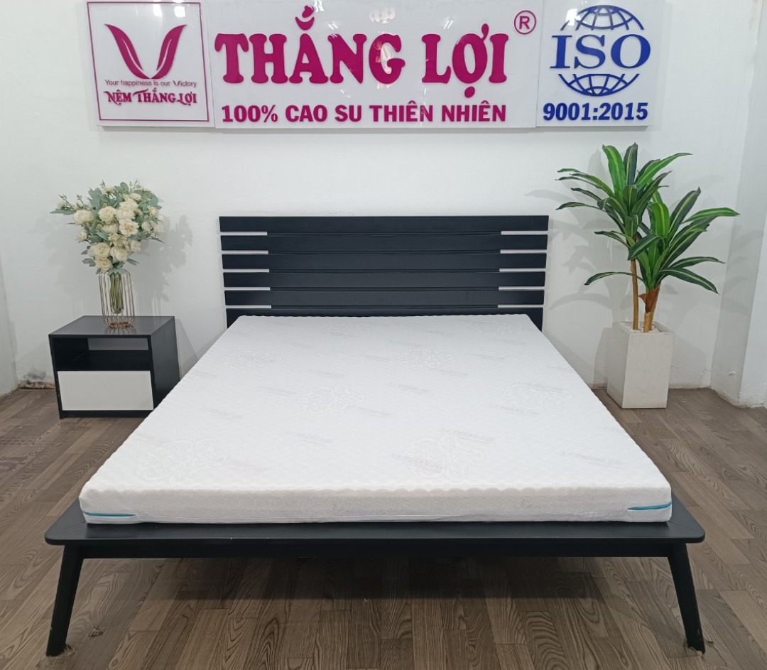 NỆM FOAM CAO CẤP MASSAGE THẮNG LỢI