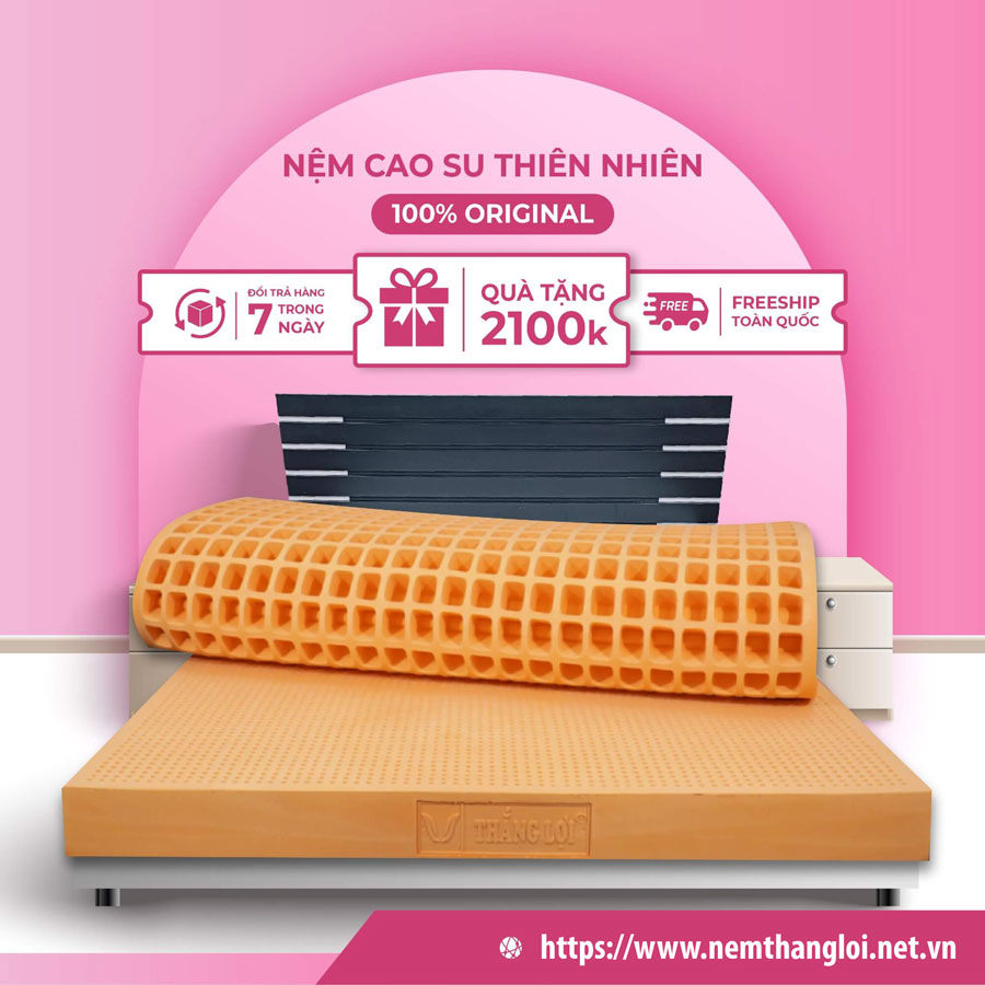 NỆM CAO SU THIÊN NHIÊN 100% SISI - ADVANCED